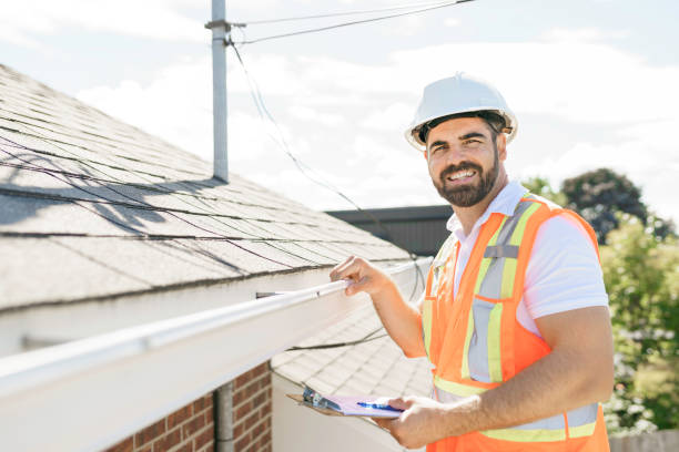 Best Roof Gutter Cleaning  in Brillion, WI