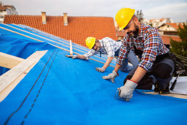 Professional Roofing Contractor in Brillion, WI